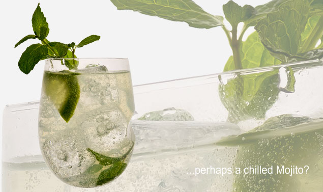 govino cocktail glass mojito.jpg govino-cocktail-glass-mojito.jpg